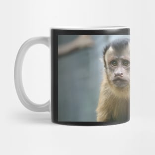 Capuchin Monkey Mug